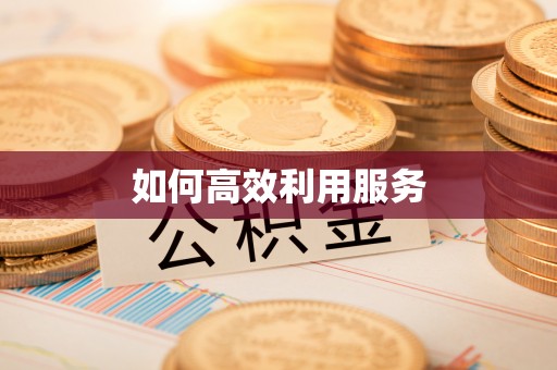 凤凰如何高效利用服务